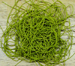 RR Legs - Round Small Rubber Legs Pre-Split Ideal for legs on many fly styles - Predator Fly Fishing